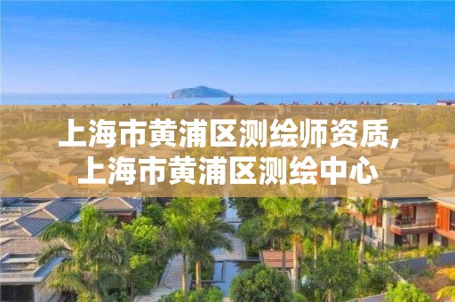 上海市黃浦區(qū)測繪師資質,上海市黃浦區(qū)測繪中心