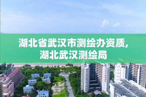 湖北省武漢市測繪辦資質,湖北武漢測繪局