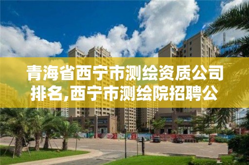 青海省西寧市測繪資質(zhì)公司排名,西寧市測繪院招聘公示