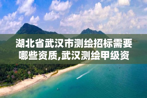 湖北省武漢市測繪招標需要哪些資質,武漢測繪甲級資質公司