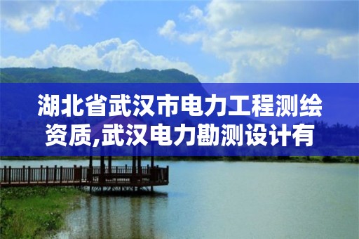 湖北省武漢市電力工程測繪資質,武漢電力勘測設計有限公司