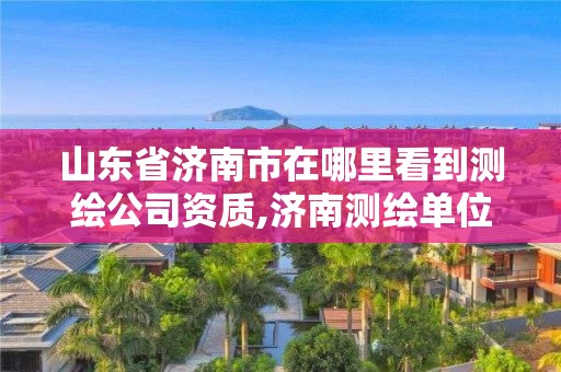 山東省濟(jì)南市在哪里看到測(cè)繪公司資質(zhì),濟(jì)南測(cè)繪單位