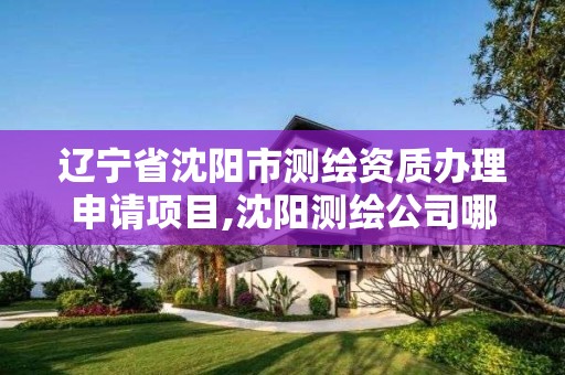 遼寧省沈陽市測繪資質辦理申請項目,沈陽測繪公司哪家強哪家好