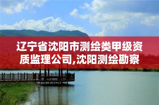 遼寧省沈陽市測繪類甲級資質監理公司,沈陽測繪勘察研究院有限公司。