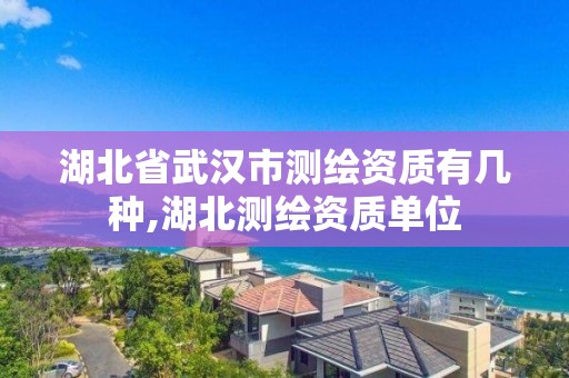 湖北省武漢市測繪資質有幾種,湖北測繪資質單位