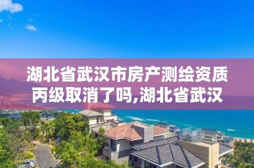 湖北省武漢市房產(chǎn)測繪資質(zhì)丙級取消了嗎,湖北省武漢市房產(chǎn)測繪資質(zhì)丙級取消了嗎今年