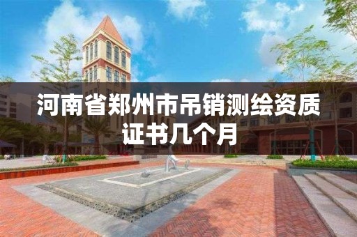 河南省鄭州市吊銷測繪資質證書幾個月