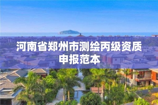 河南省鄭州市測繪丙級資質申報范本