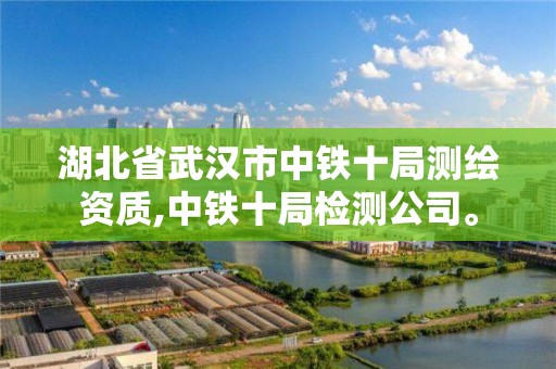 湖北省武漢市中鐵十局測繪資質,中鐵十局檢測公司。