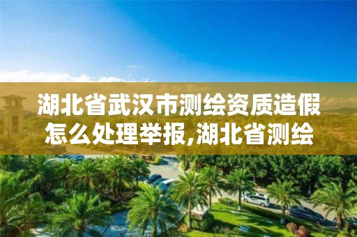 湖北省武漢市測繪資質造假怎么處理舉報,湖北省測繪資質延期公告