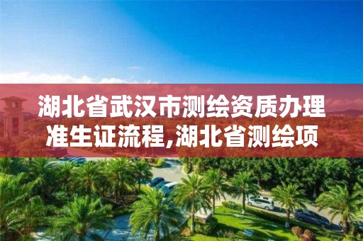 湖北省武漢市測繪資質辦理準生證流程,湖北省測繪項目登記管理辦法