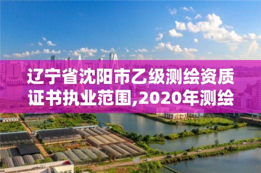 遼寧省沈陽市乙級測繪資質證書執業范圍,2020年測繪資質乙級需要什么條件。