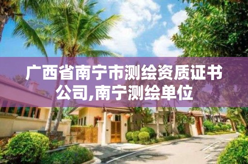 廣西省南寧市測繪資質證書公司,南寧測繪單位