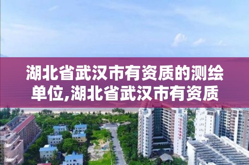 湖北省武漢市有資質的測繪單位,湖北省武漢市有資質的測繪單位有哪些