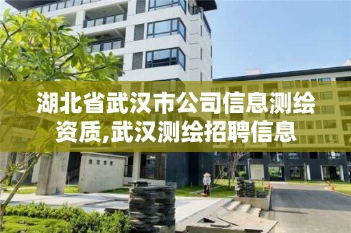 湖北省武漢市公司信息測繪資質,武漢測繪招聘信息