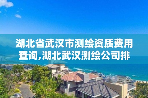 湖北省武漢市測繪資質費用查詢,湖北武漢測繪公司排行榜