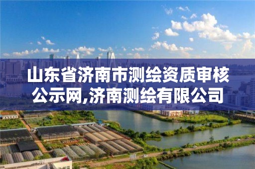 山東省濟南市測繪資質審核公示網,濟南測繪有限公司