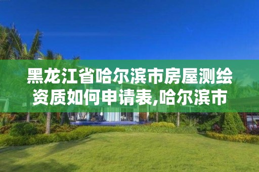 黑龍江省哈爾濱市房屋測繪資質如何申請表,哈爾濱市測繪局家屬樓。