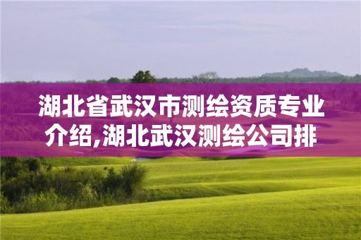 湖北省武漢市測繪資質(zhì)專業(yè)介紹,湖北武漢測繪公司排行榜