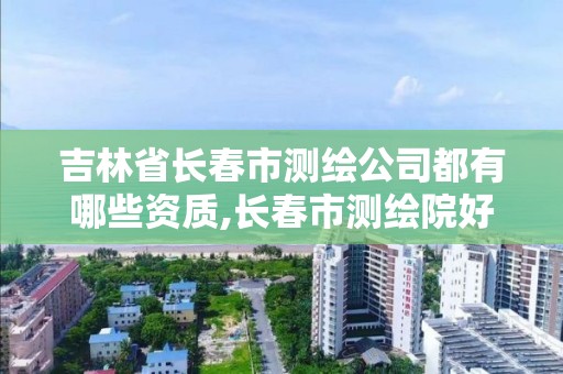 吉林省長春市測繪公司都有哪些資質,長春市測繪院好進么