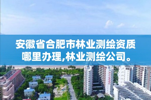 安徽省合肥市林業(yè)測繪資質哪里辦理,林業(yè)測繪公司。