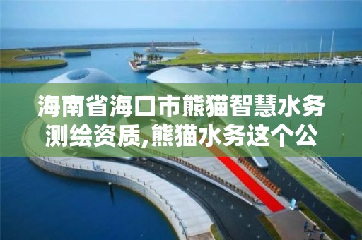 海南省海口市熊貓智慧水務測繪資質,熊貓水務這個公司怎么樣