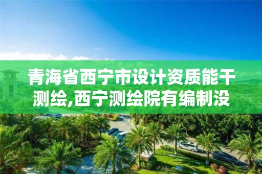 青海省西寧市設(shè)計資質(zhì)能干測繪,西寧測繪院有編制沒