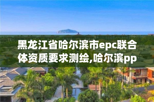 黑龍江省哈爾濱市epc聯合體資質要求測繪,哈爾濱ppp項目。