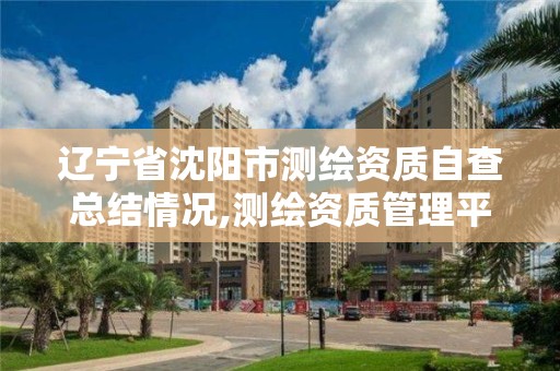 遼寧省沈陽市測繪資質自查總結情況,測繪資質管理平臺