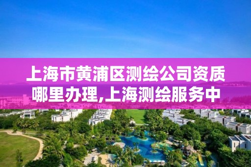 上海市黃浦區測繪公司資質哪里辦理,上海測繪服務中心