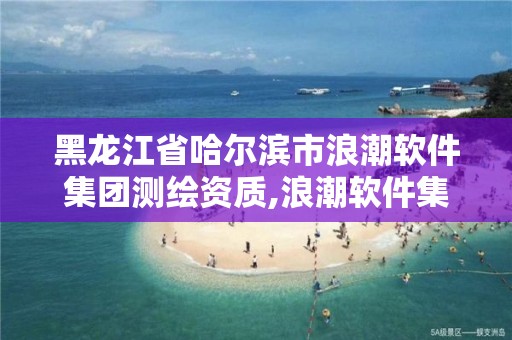 黑龍江省哈爾濱市浪潮軟件集團測繪資質,浪潮軟件集團有限公司軟件評測實驗室