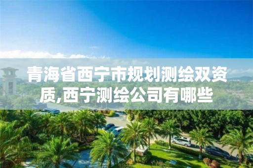 青海省西寧市規劃測繪雙資質,西寧測繪公司有哪些