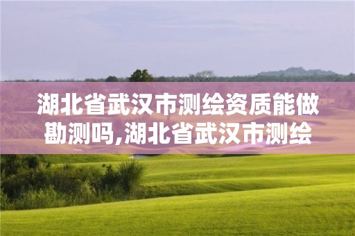 湖北省武漢市測(cè)繪資質(zhì)能做勘測(cè)嗎,湖北省武漢市測(cè)繪資質(zhì)能做勘測(cè)嗎知乎