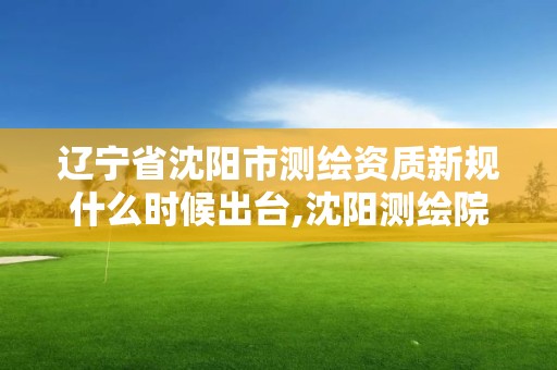 遼寧省沈陽市測繪資質新規什么時候出臺,沈陽測繪院電話。