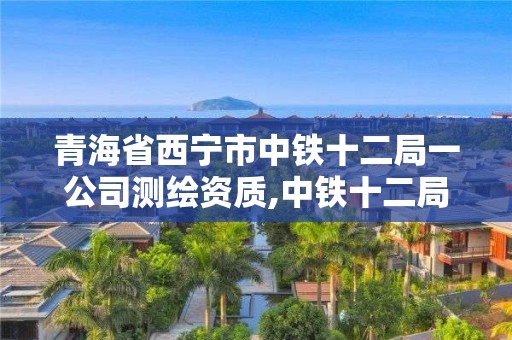 青海省西寧市中鐵十二局一公司測繪資質(zhì),中鐵十二局集團(tuán)有限公司計量測試中心。