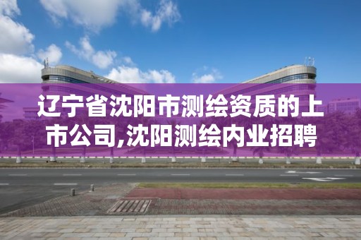 遼寧省沈陽市測繪資質的上市公司,沈陽測繪內業招聘信息