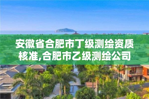 安徽省合肥市丁級測繪資質核準,合肥市乙級測繪公司。