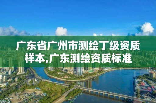 廣東省廣州市測繪丁級資質樣本,廣東測繪資質標準