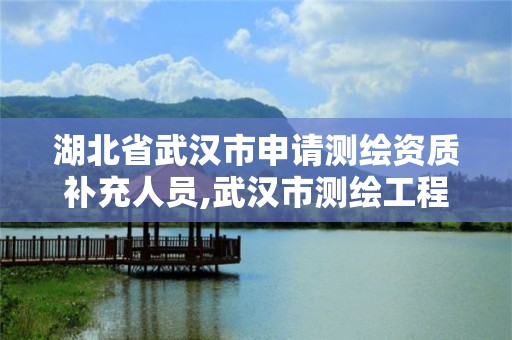 湖北省武漢市申請測繪資質補充人員,武漢市測繪工程技術規定