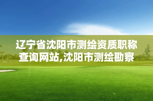 遼寧省沈陽市測繪資質職稱查詢網站,沈陽市測繪勘察研究院