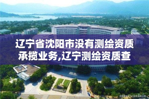 遼寧省沈陽市沒有測繪資質承攬業務,遼寧測繪資質查詢