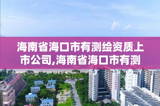 海南省海口市有測繪資質上市公司,海南省海口市有測繪資質上市公司嗎。