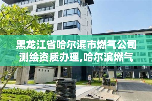 黑龍江省哈爾濱市燃氣公司測繪資質辦理,哈爾濱燃氣檢測