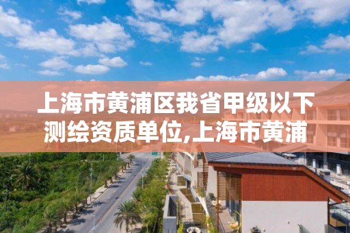 上海市黃浦區我省甲級以下測繪資質單位,上海市黃浦區我省甲級以下測繪資質單位有幾個