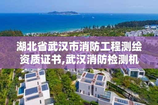 湖北省武漢市消防工程測繪資質證書,武漢消防檢測機構。