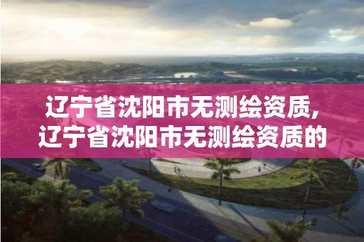 遼寧省沈陽市無測繪資質,遼寧省沈陽市無測繪資質的企業