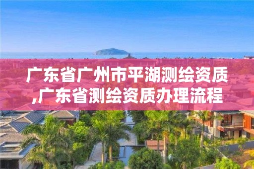 廣東省廣州市平湖測(cè)繪資質(zhì),廣東省測(cè)繪資質(zhì)辦理流程