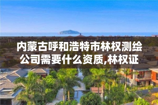 內蒙古呼和浩特市林權測繪公司需要什么資質,林權證測繪。