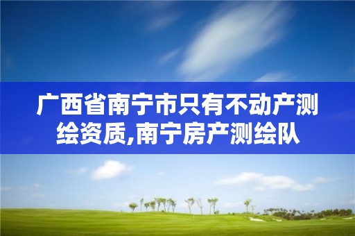 廣西省南寧市只有不動產(chǎn)測繪資質(zhì),南寧房產(chǎn)測繪隊