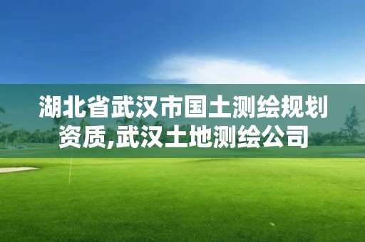 湖北省武漢市國土測繪規劃資質,武漢土地測繪公司